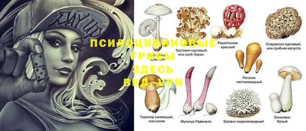 a pvp Кодинск